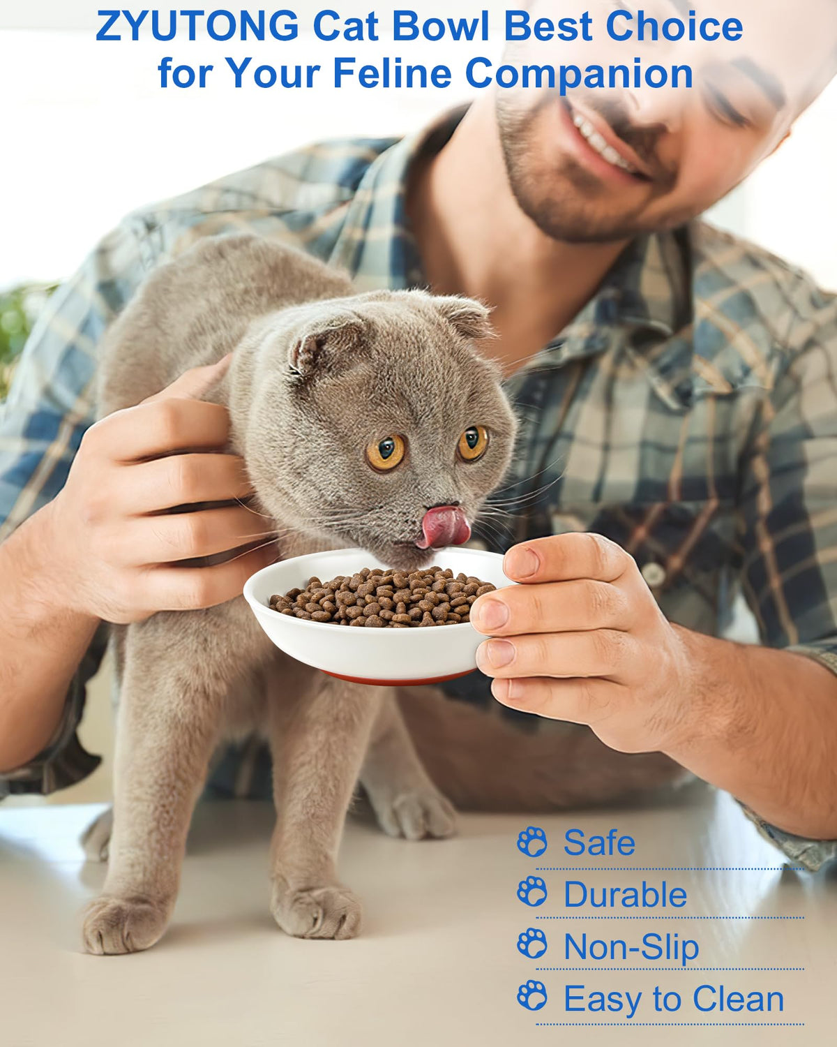 Ceramic Cat Bowl Whisker Friendly (6 Packs)