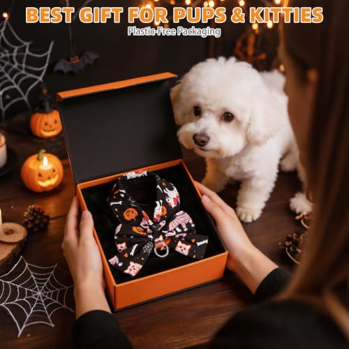 Halloween Dog Harness and Leash Set for Small Medium Sized Dogs Cats (BLACK / S (Chest Girth: 13.8"-15.7"))