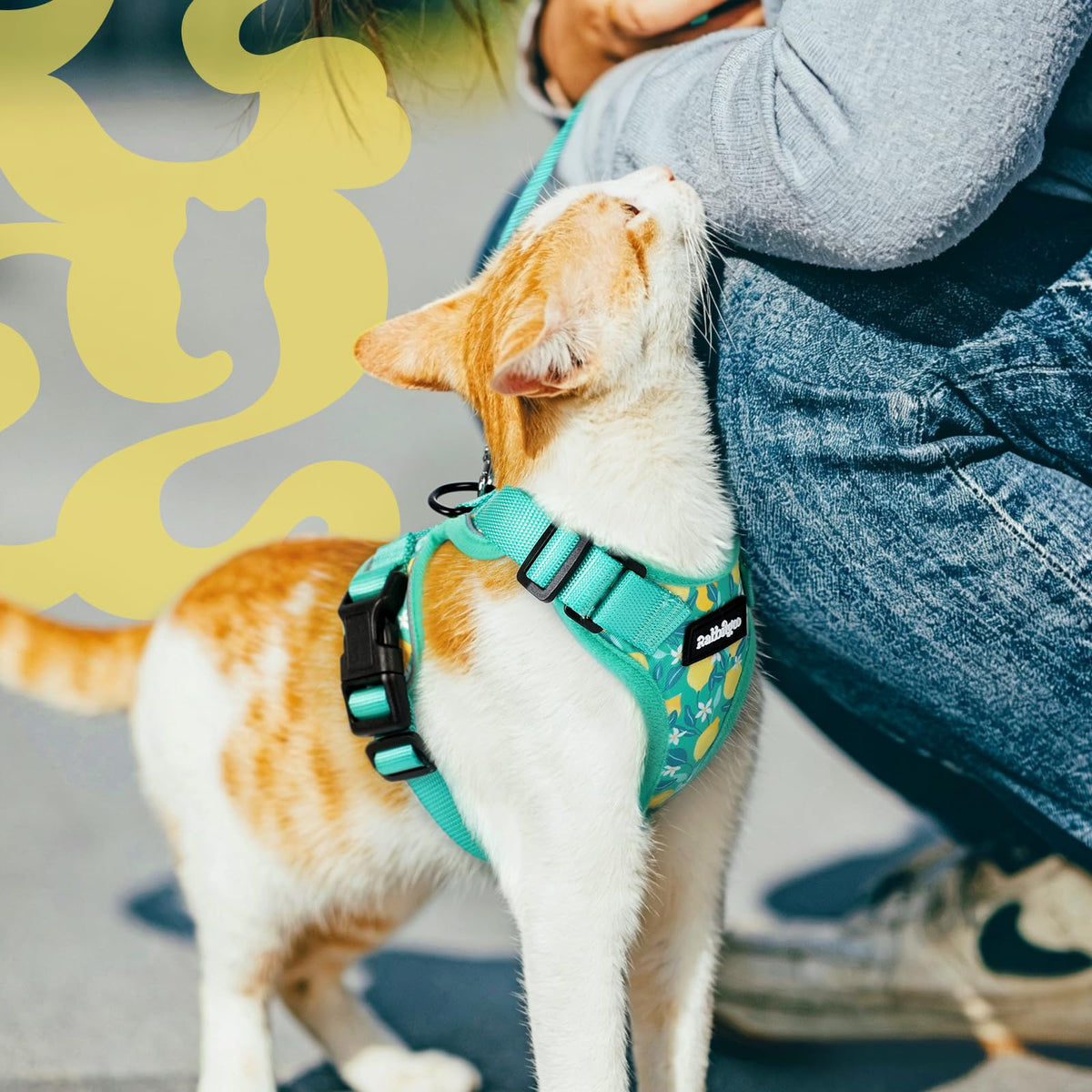 Cat Harness and Leash Set (Xs / Lemon Grove)
