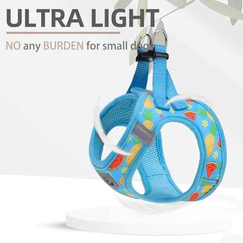 Dog Harness Collar and Leash Set No Pull for Small Medium Sized (Sky Blue / S (CHEST 14.5"-16"))