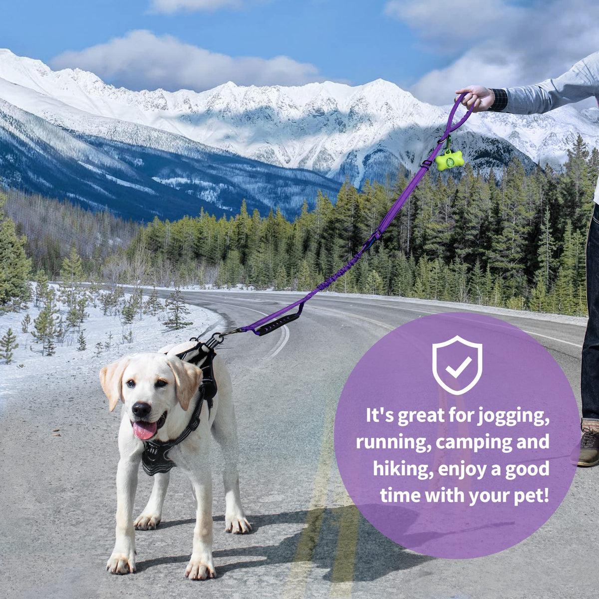 Multifunctional Dog Leash for Large and Medium Dogs (Purple)