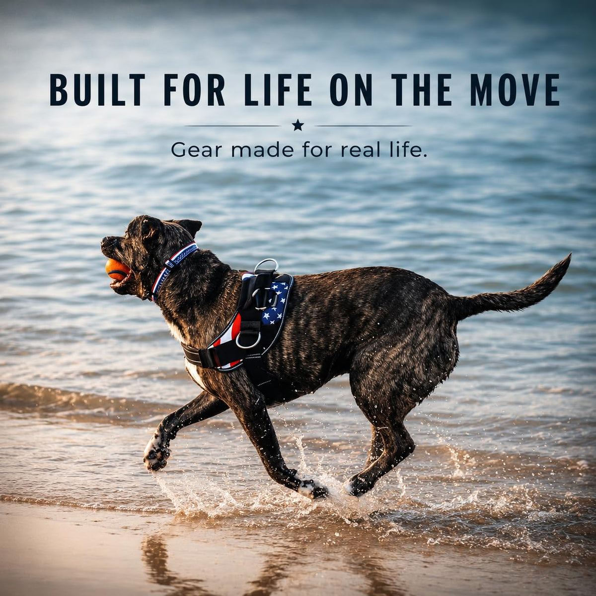 Essential Dog Harness (Seafoam / L)
