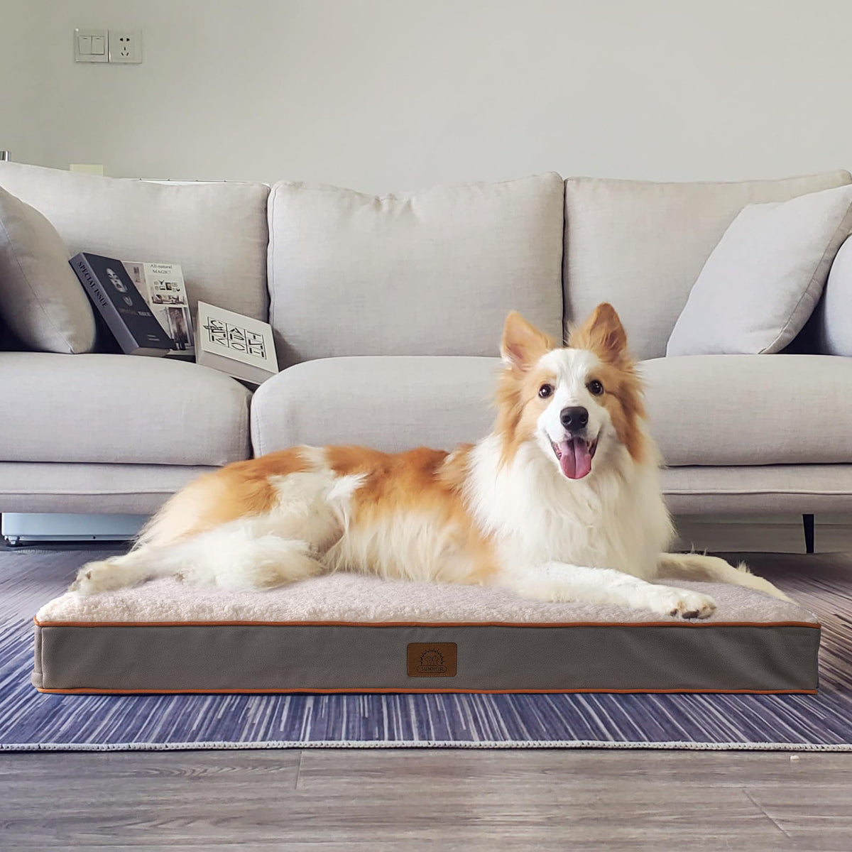 Extra Large Orthopedic Dog Bed (Light Grey / 44.0"L x 32.0"W x 3.0"Th)