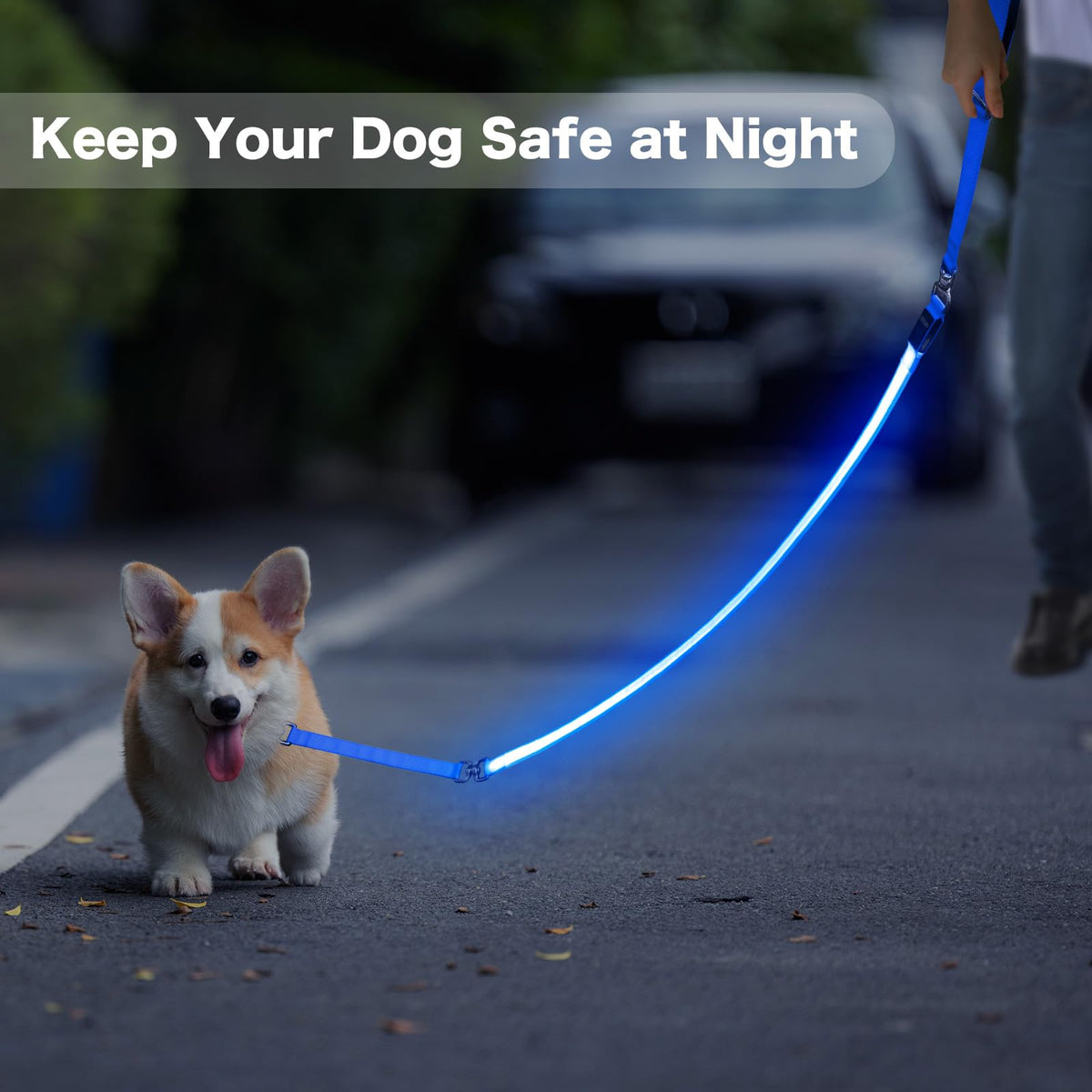 LED Light Up Dog Leash (Blue / 6Ft(Three-section))