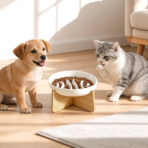 Slow Feeder Cat Bowl Elevated Ceramic with Bamboo Stand (Fishbone)