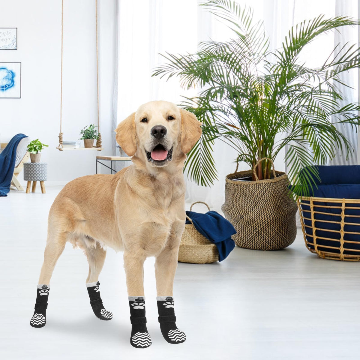 Non Slip Dog Socks for Hot Pavement to Prevent Licking Paws (Black / X‑Small (4 Pack))