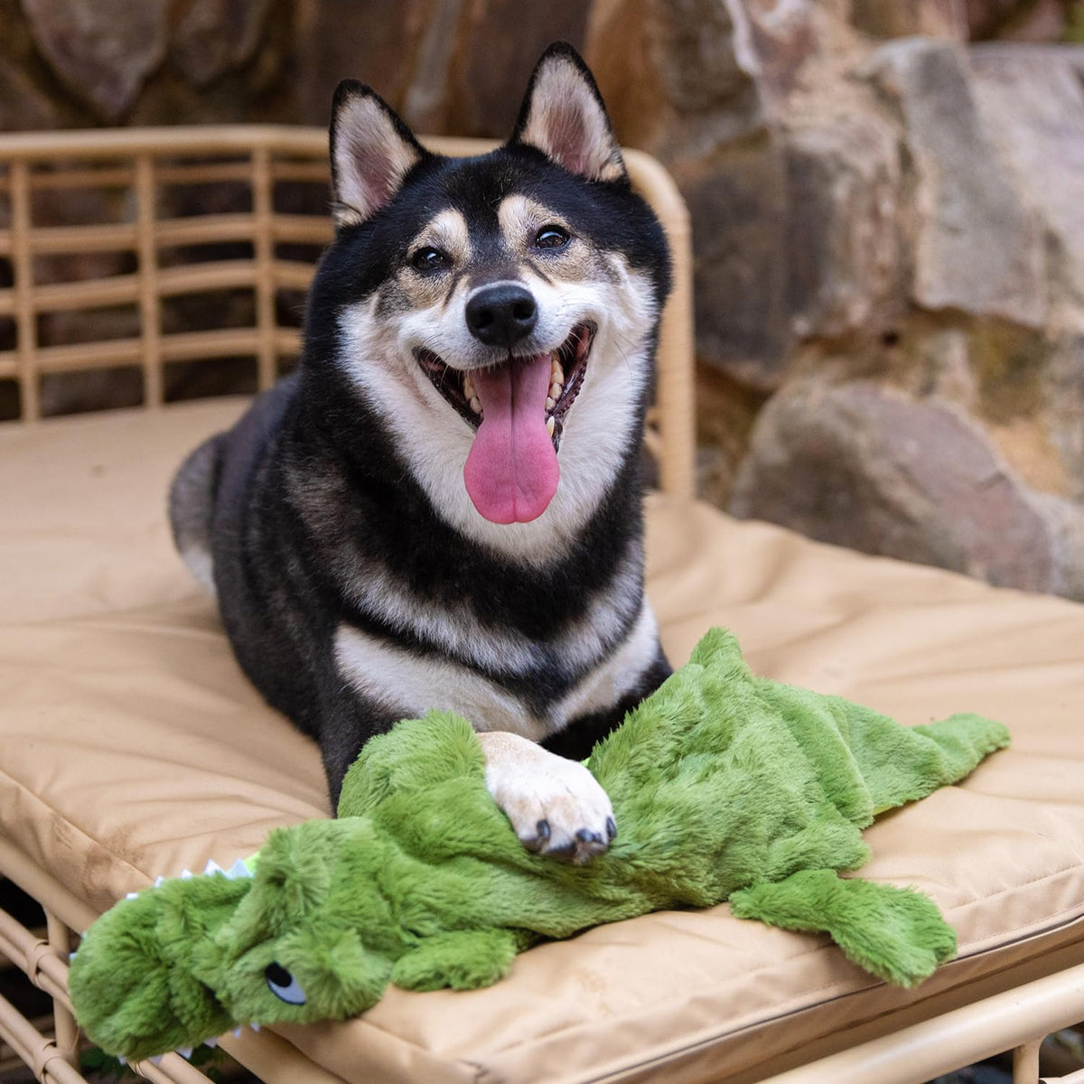 2-in-1 Stuffless Squeaky Dog Toy - 4 Figures, Medium (Wild Duck, Hare, Squirrel & Alligator / Medium)