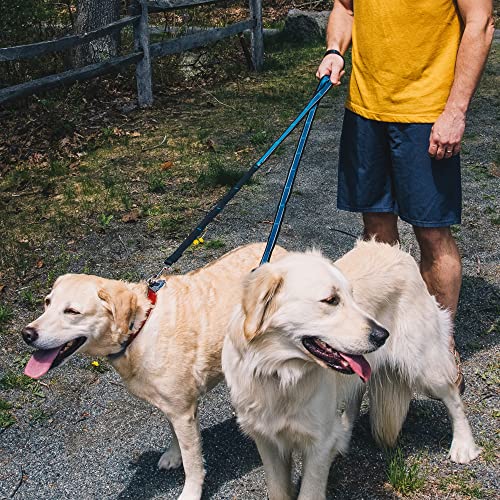 Quantum 6 in 1 Dog Leash (Red/Blue)