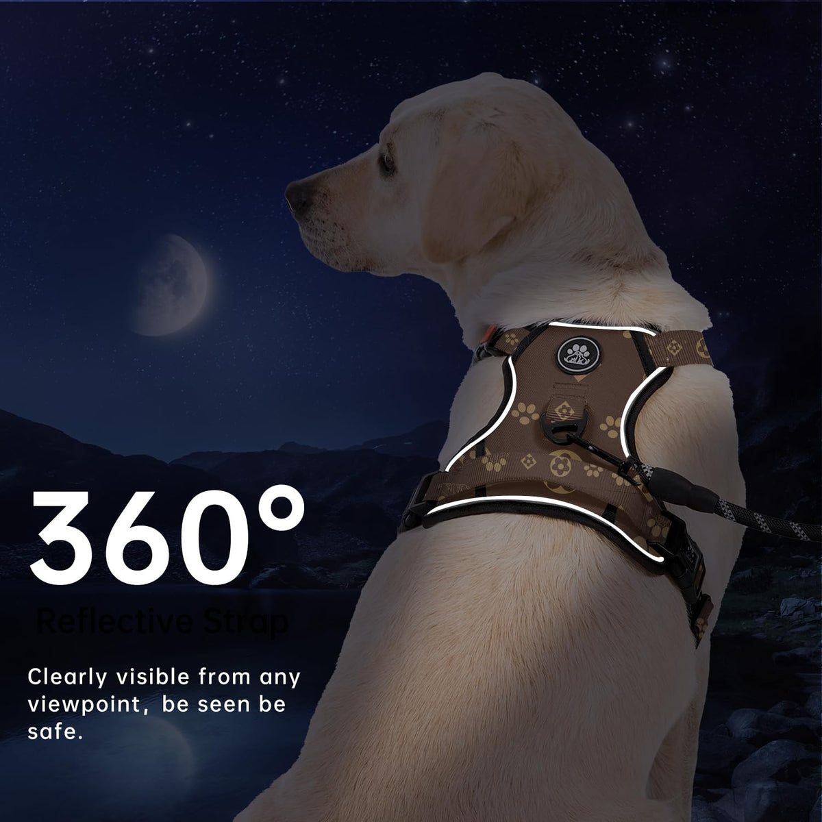 No Pull Dog Harness for Small Dogs (Dark Brown / Small)