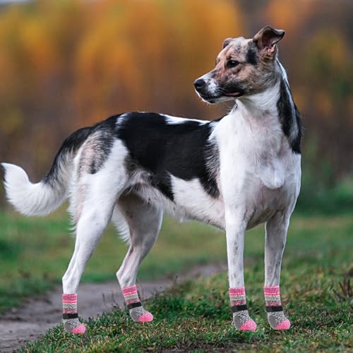 Dog Socks Shoes for Hot Pavement (Large(4 Pack) / Grey Paw)