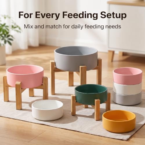 Raised Dog Bowl (Small / Grey)