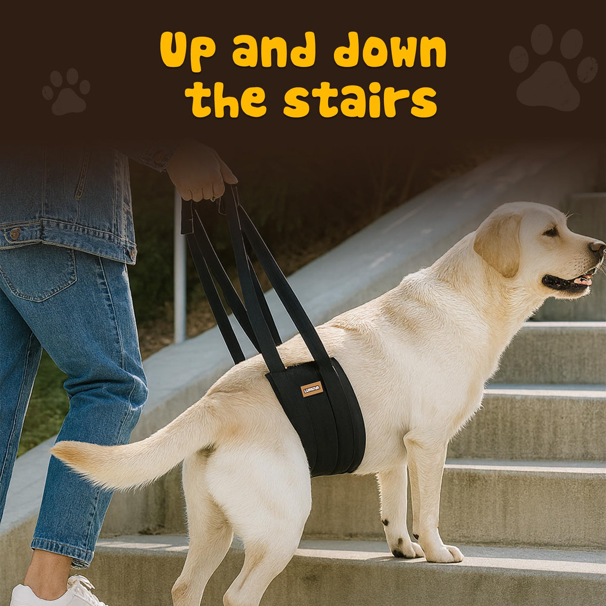 Dog Lift Harness (Medium (M))
