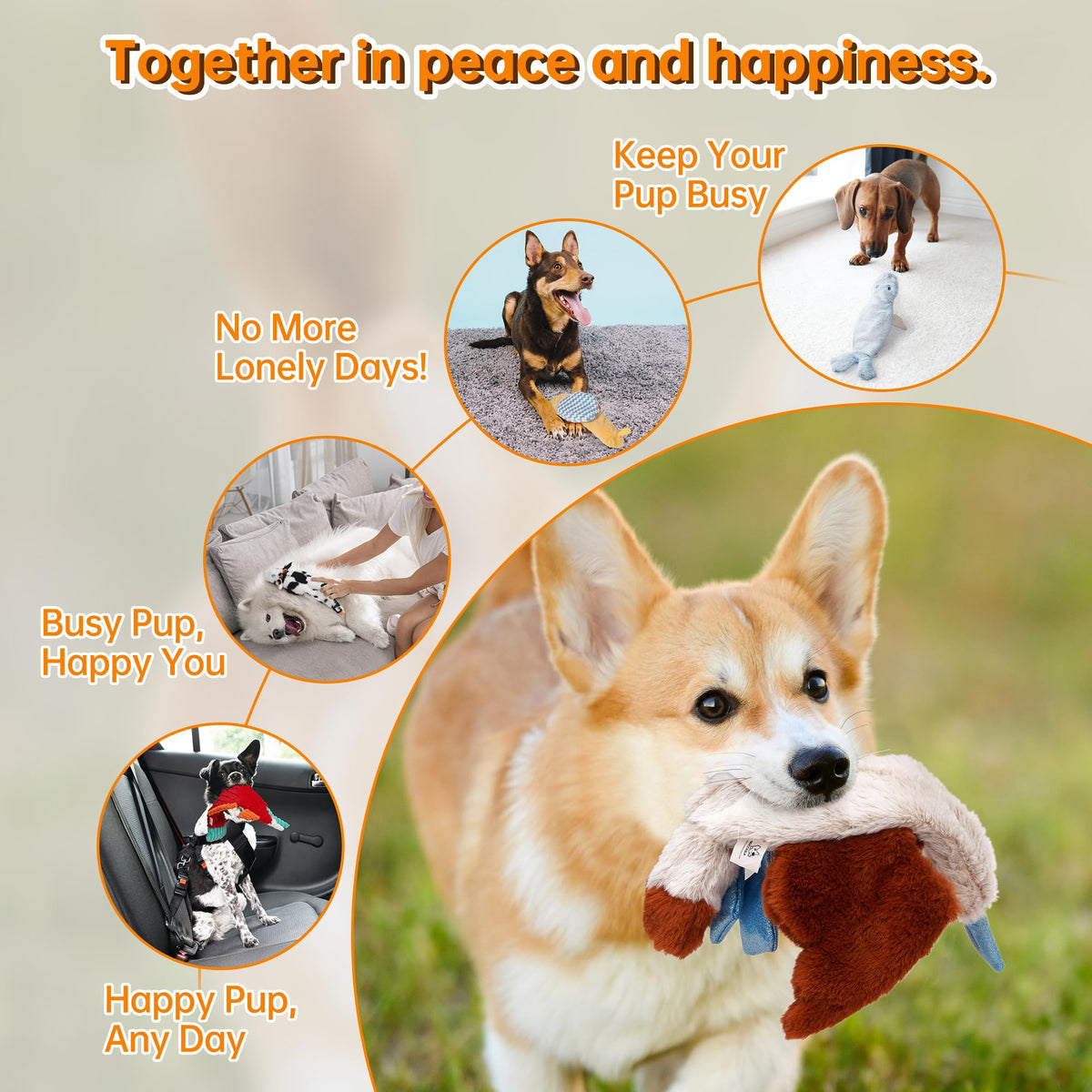 Squeaky Dog Toys (5 pcs Crinkle Plush Dog Toy)