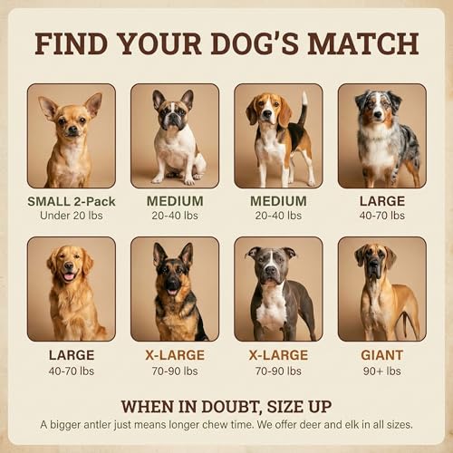 Deer Antler Dog Chew (Giant (Dogs 85+ lbs))