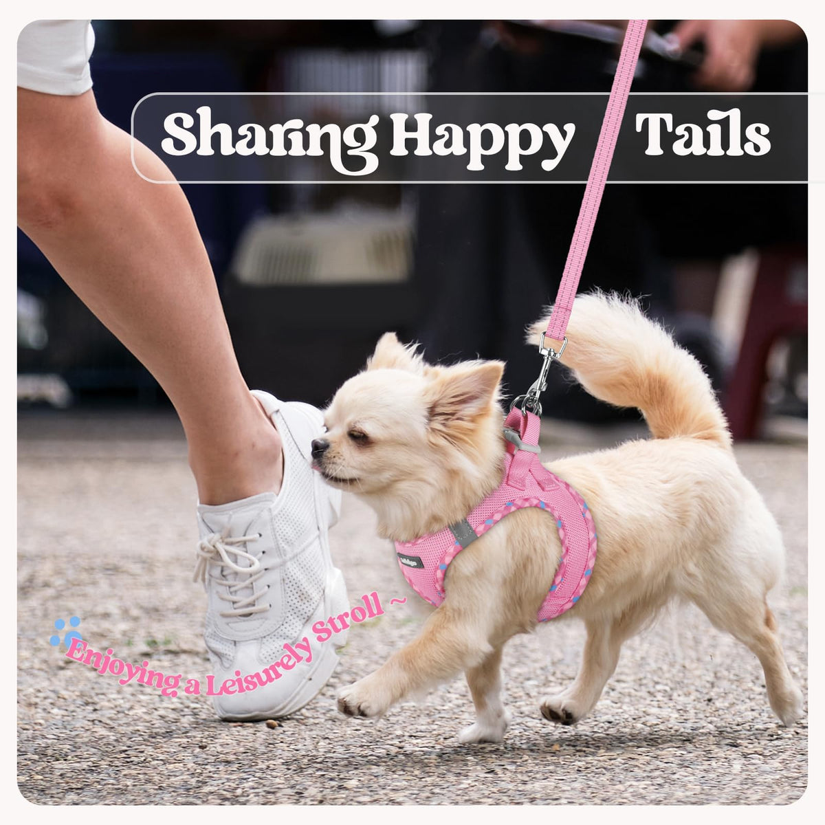 Dog Harness Medium Sized and Leash Set (Pink & Plaid Trim / L (chest: 18.2 - 20.5"))