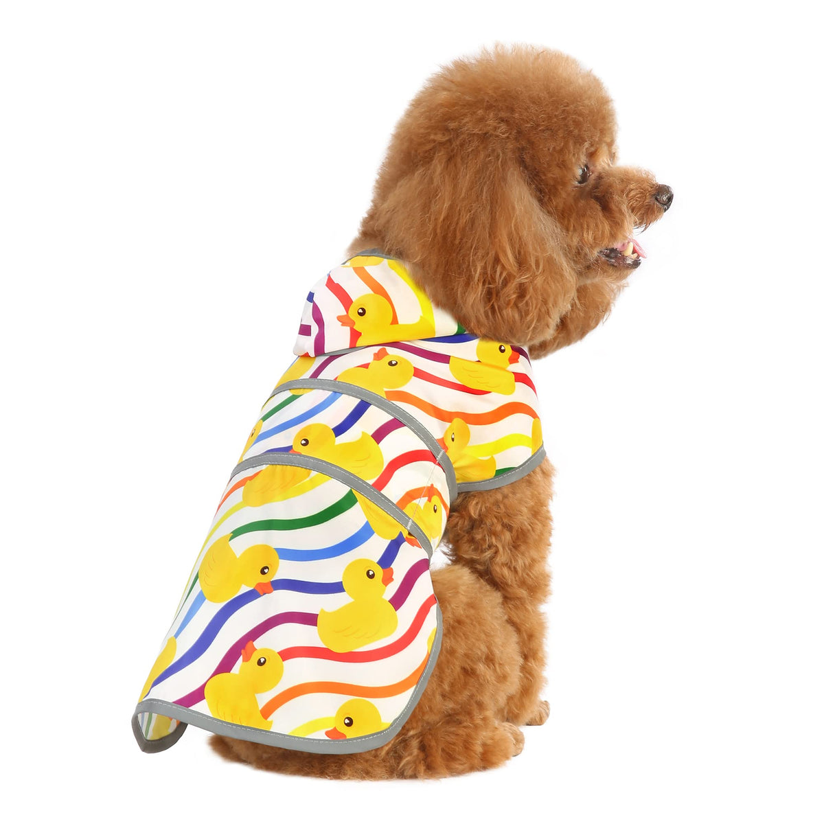 Dog Raincoat for Small Dogs Puppies Waterproof Jacket Hooded Rain Coats with Reflective Strips Leash Hole & Poncho Adjustable Fit (Rainbow Ducks / X-Small)