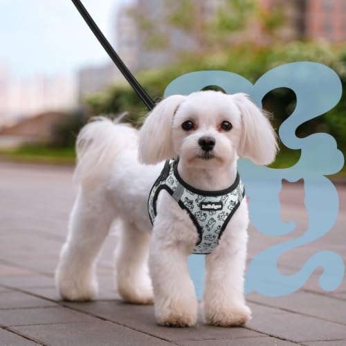 Dog Harness Small Sized and Leash Set (Grey Pups / M (Chest: 16.0"-18.5"))