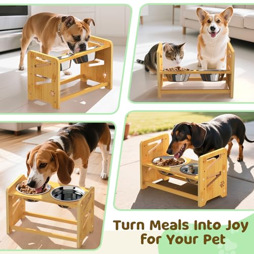 Elevated Dog Bowls