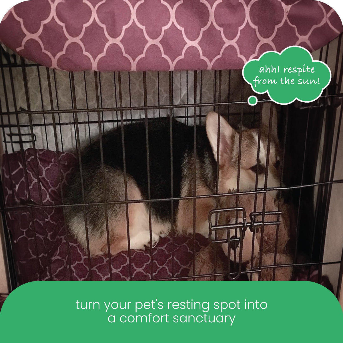 Purple Dog Crate Cover (Royals / 48.0"L x 30.0"W x 33.0"H)