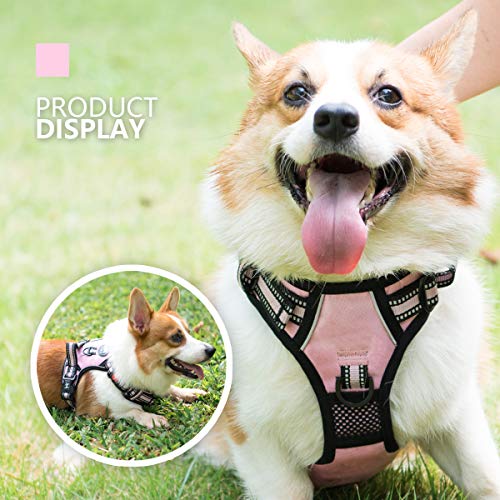 Dog Harness Medium (Medium / Light Pink)