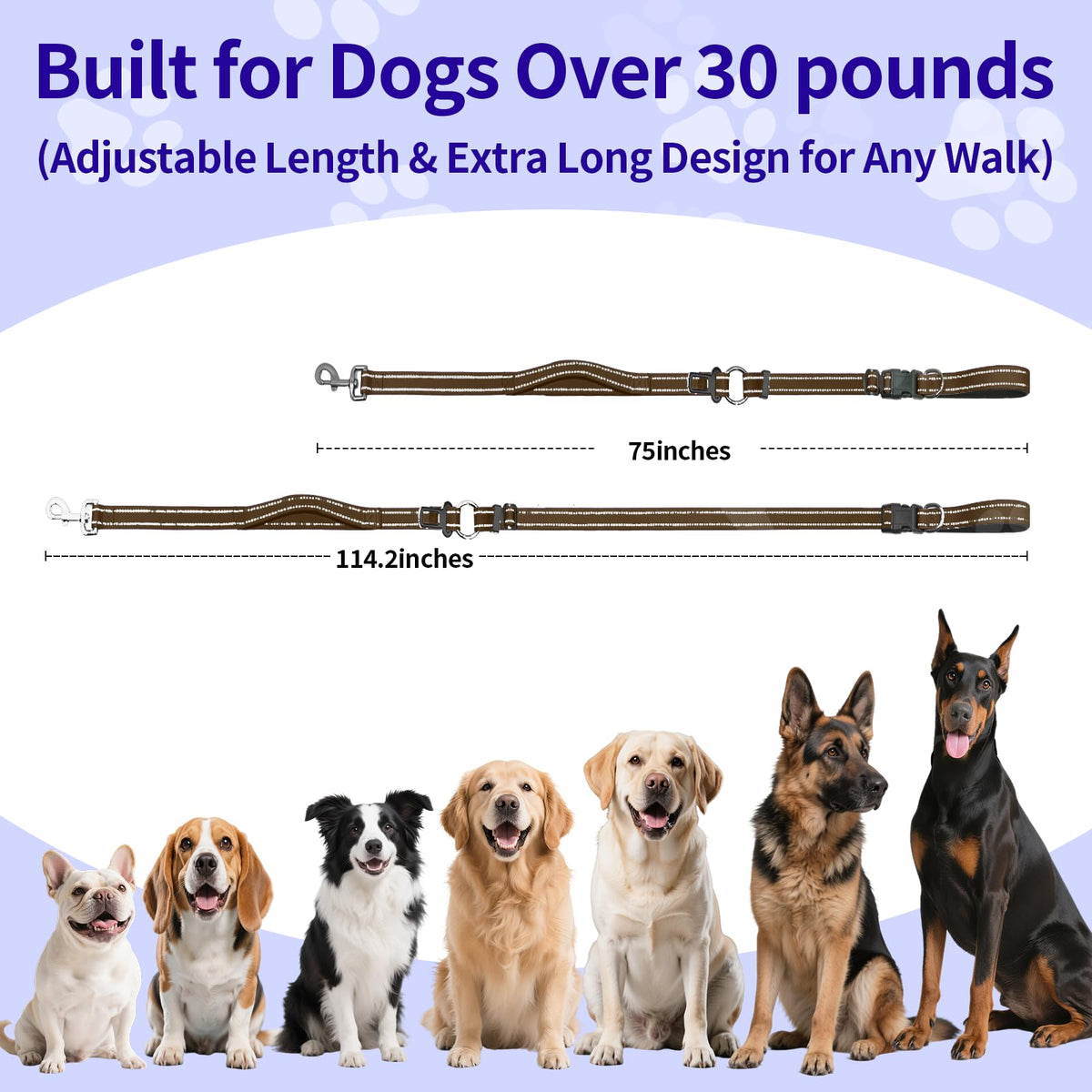 Hands Free Dog Leash by Kazazoo (Brown / L)