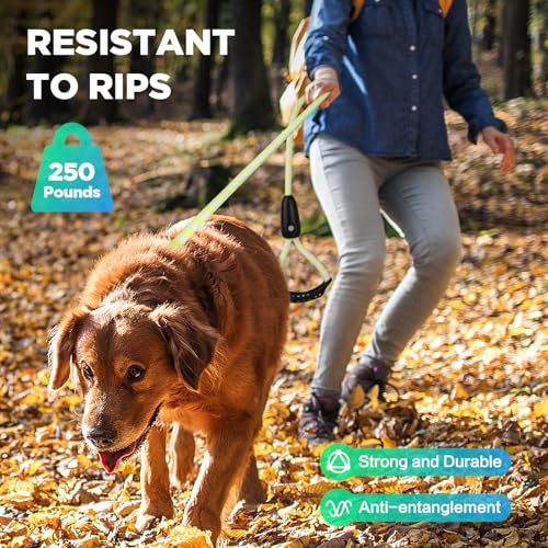 Light Up Dog Leash (6 Ft / RGB)