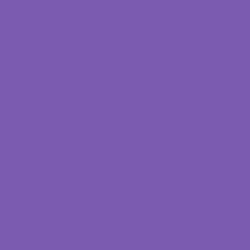 Dog Harness for Small Sized Dog (Purple / Small)