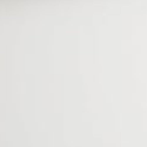 Ceramic Elevated Dog Bowl Set (Matte White / L × 2)