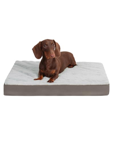 Orthopedic Dog Bed for Small Dogs with Waterproof Lining (Light Grey / 21.0"L x 13.0"W x 2.5"Th)