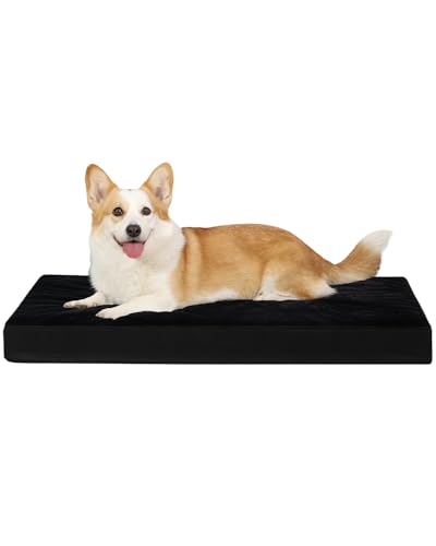 Orthopedic Dog Bed for Large Dogs with Waterproof Lining (Black / 35.0"L x 22.0"W x 3.0"Th)