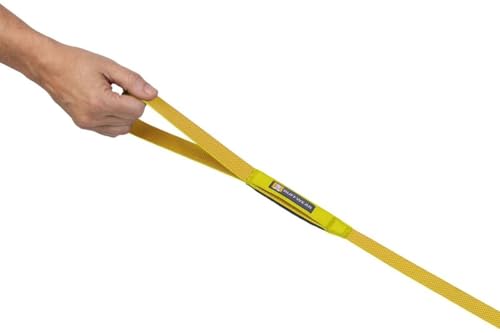 Hi & Light Dog Leash (Lichen Green / One Size)