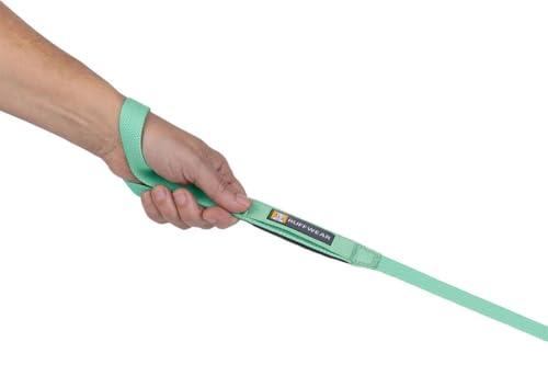 Hi & Light Dog Leash (Sage Green / One Size)