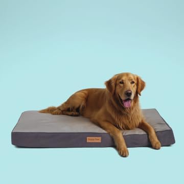 Orthopedic Memory Foam Dog Bed for Extra Large Dogs (XL (41x29x3.5") / Pad Style)