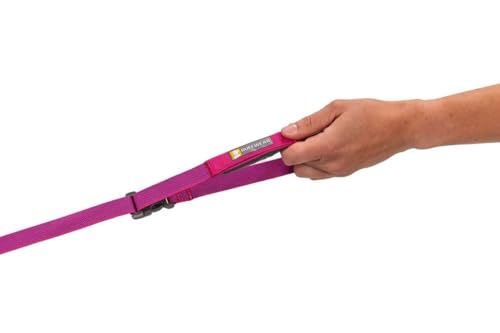 Flagline Dog Leash (Alpenglow Pink / One Size)