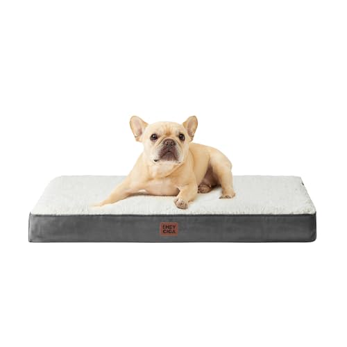 Orthopedic Dog Beds (30*20*3.5 inches / Beige)
