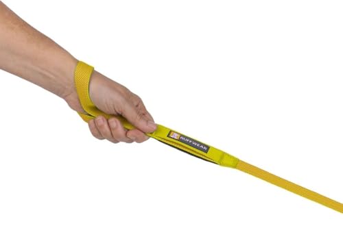 Hi & Light Dog Leash (Lichen Green / One Size)