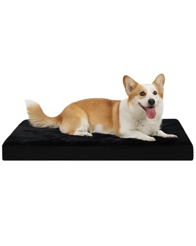 Orthopedic Dog Bed for Medium Dogs with Waterproof Lining (Black / 29.0"L x 18.0"W x 3.0"Th)