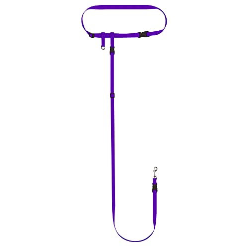 Hands Free Dog Leash (Small Dog System (Large Belt (27"- 50" Waist)) / Purple)