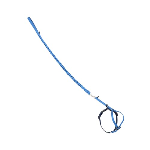 Come with Me Kitty Harness and Bungee Cat Leash (Medium (Pack of 1) / Royal Blue)