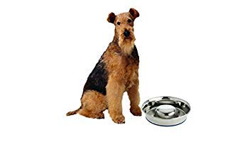 OurPet's DuraPet Slow Feed Stainless Steel Dog Bowl (Large (6 Cups))