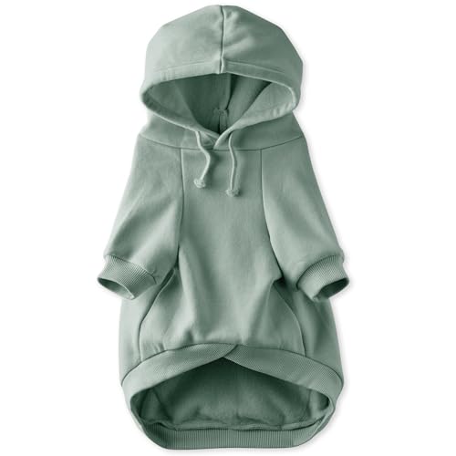 Rocky II Dog Hoodie (Sage / XXX-Small (up to 5lbs))