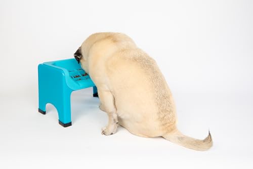 Elevated Slow Feeder Dog Bowls (Teal)