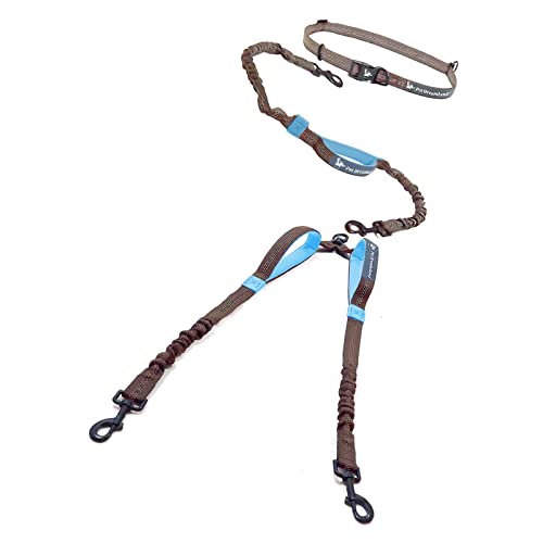 Exquisite Hands Free Dual Dog Leash with Tangle (Grey & Blue)