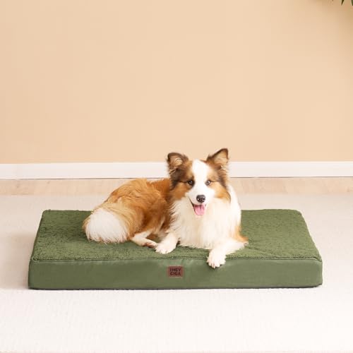 Orthopedic Dog Bed Medium with Removable Washable Cover (30*20*3.5 inches / Olive Green)