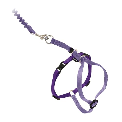 Come With Me Kitty Harness and Bungee Leash (Large (Pack of 1) / Lilac/Deep Purple)