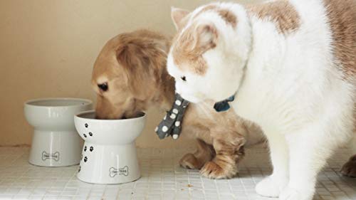 Necoichi Raised Dog Food Bowl (Regular)