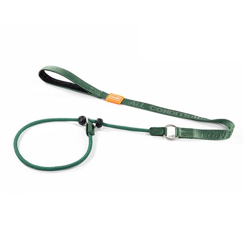 Slip Lead Dog Leash with 2 Spring (Green / 3.6FT)
