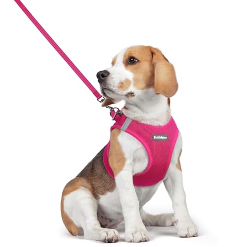 Dog Harness Medium Sized and Leash Set (Rose Red / L (chest: 18.2 - 20.5"))