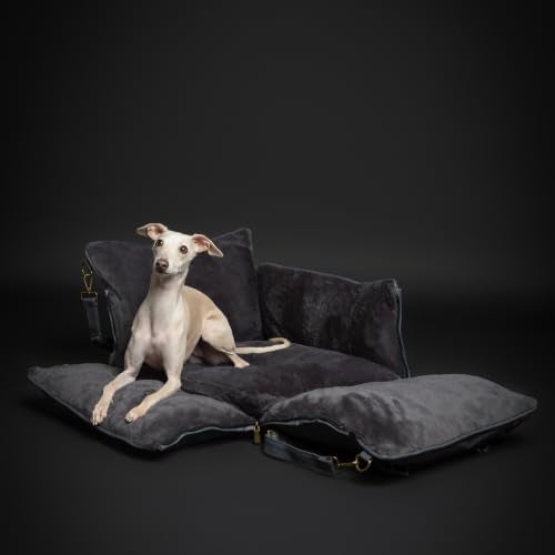 Small Dog Car Seat for Small Medium Pets with Harness Clip (Charcoal / Medium)