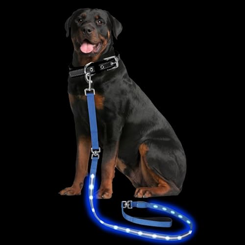 Light up Dog Leash for Night Walking (6 FT / Blue)
